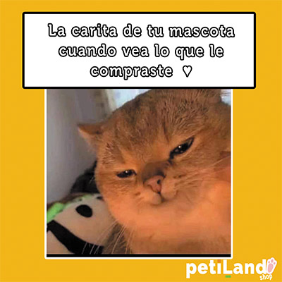 la carita de tu mascota petiland shop