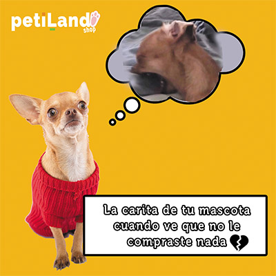 perrito triste petiland shop