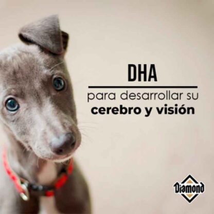 Croquetas Diamond Puppy 2.72kg - Imagen 4