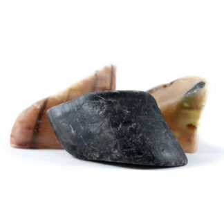 pezuñas para perro