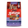 gatina gatitos