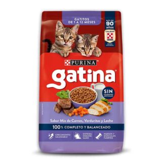 gatina gatitos