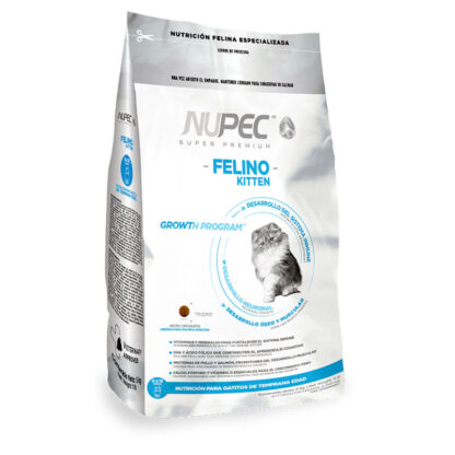 nupec felino kitten