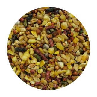 revoltura para gallo