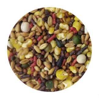 golden gallo entrenamiento granel