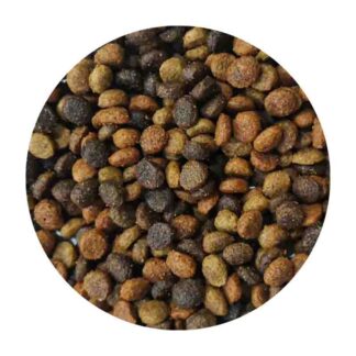 croquetas chapetes para gato